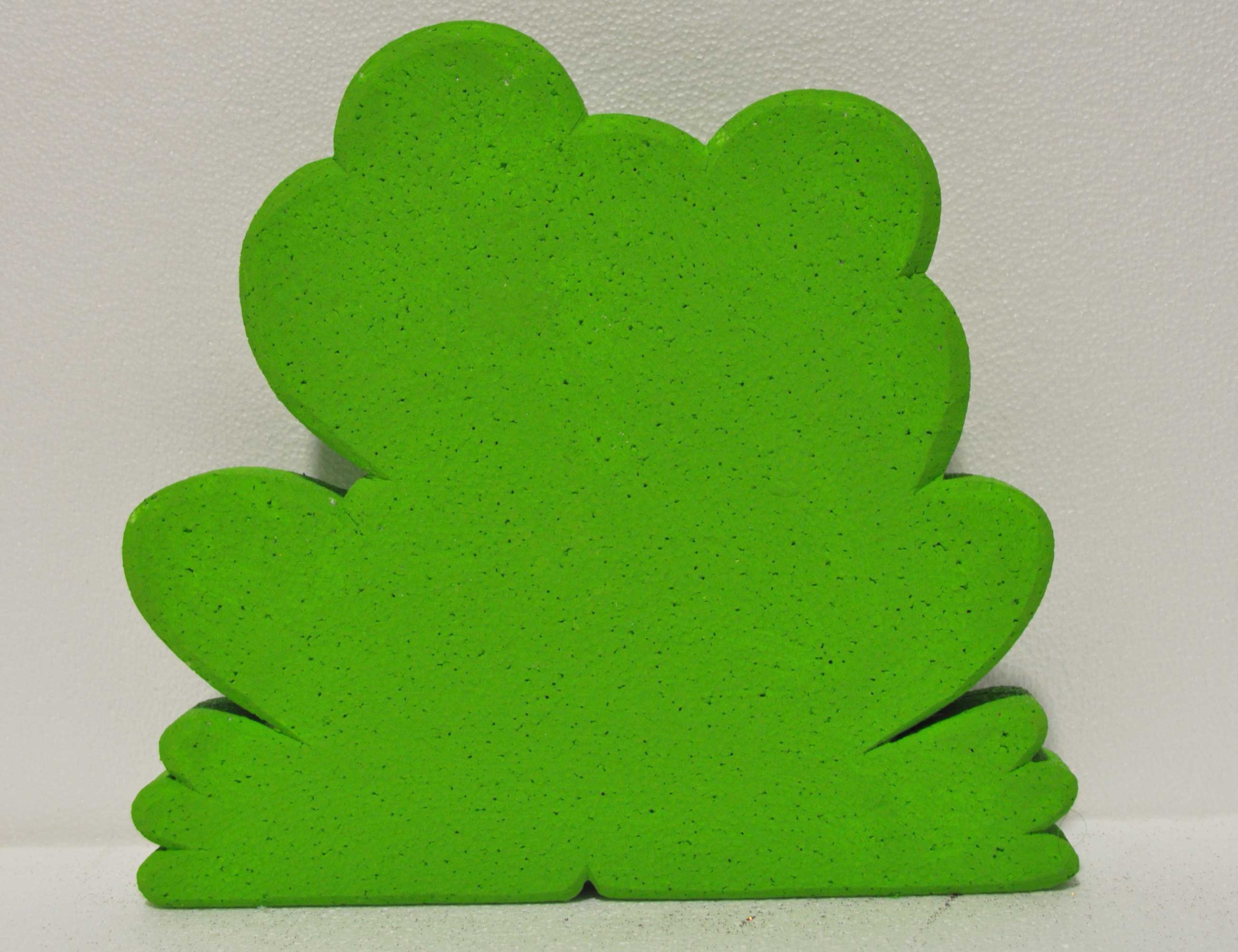 RANA VERDE 2 - immagine 4