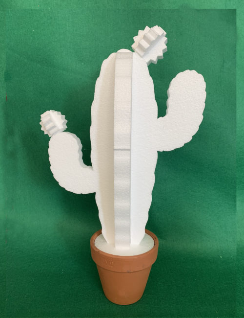 cactus fai-da-te