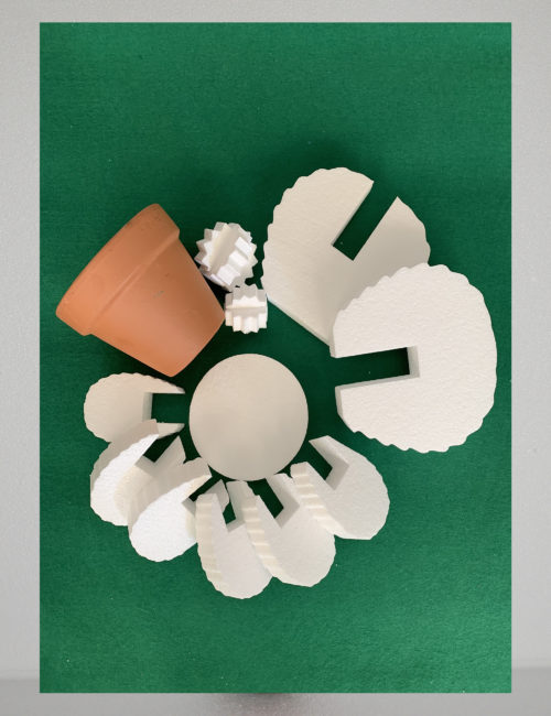 kit cactus fai-da-te DIY