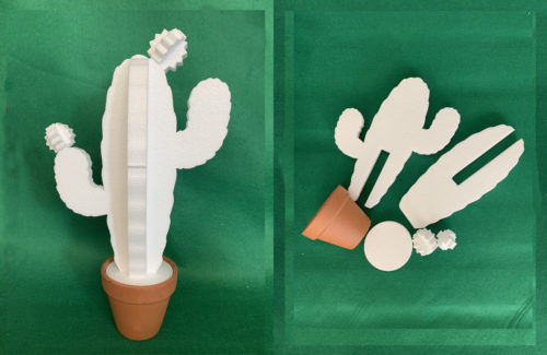kit decorazione fai da te cactus
